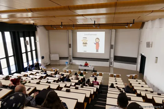 Copyright : Vincent Folliard